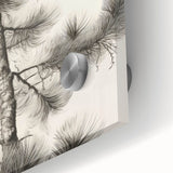 Vintage Botanical Art Prints – Antique Pine Tree Illustration