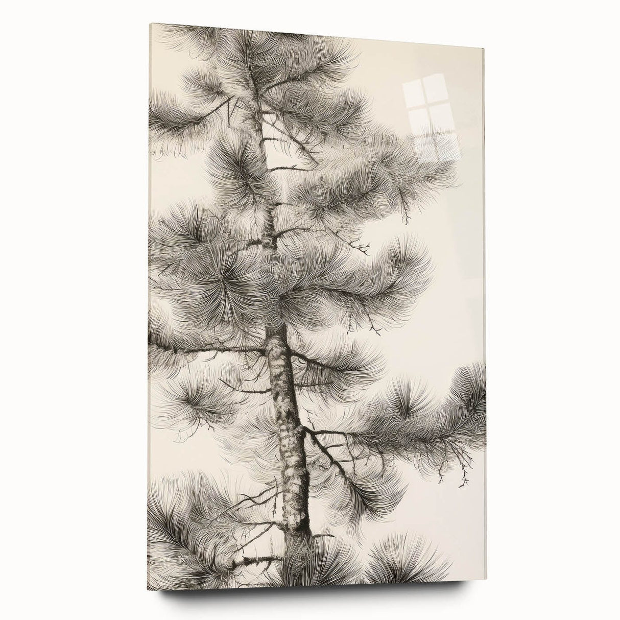 Vintage Botanical Art Prints – Antique Pine Tree Illustration