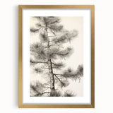 Vintage Botanical Art Prints – Antique Pine Tree Illustration