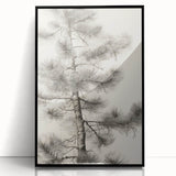 Vintage Botanical Art Prints – Antique Pine Tree Illustration