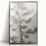 Vintage Botanical Art Prints – Antique Pine Tree Illustration