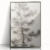 Vintage Botanical Art Prints – Antique Pine Tree Illustration