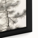 Vintage Botanical Art Prints – Antique Pine Tree Illustration