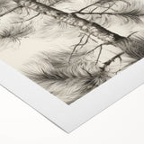 Vintage Botanical Art Prints – Antique Pine Tree Illustration