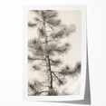 Vintage Botanical Art Prints – Antique Pine Tree Illustration