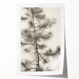 Vintage Botanical Art Prints – Antique Pine Tree Illustration