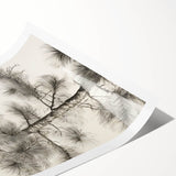 Vintage Botanical Art Prints – Antique Pine Tree Illustration