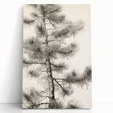 Vintage Botanical Art Prints – Antique Pine Tree Illustration