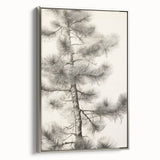 Vintage Botanical Art Prints – Antique Pine Tree Illustration