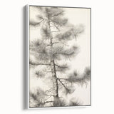 Vintage Botanical Art Prints – Antique Pine Tree Illustration