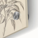 Vintage Botanical Art Prints – Antique Flowering Plant Illustration