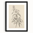 Vintage Botanical Art Prints – Antique Flowering Plant Illustration