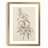 Vintage Botanical Art Prints – Antique Flowering Plant Illustration