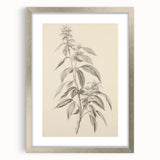 Vintage Botanical Art Prints – Antique Flowering Plant Illustration