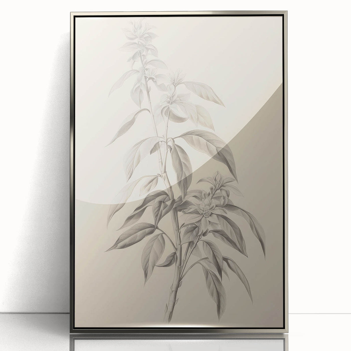 Vintage Botanical Art Prints – Antique Flowering Plant Illustration