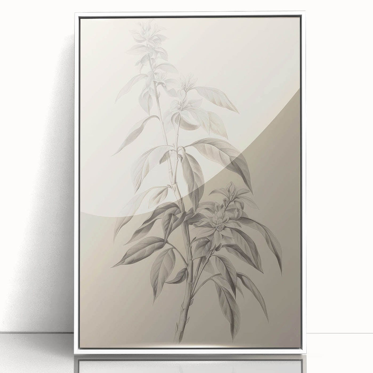 Vintage Botanical Art Prints – Antique Flowering Plant Illustration