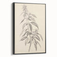 Vintage Botanical Art Prints – Antique Flowering Plant Illustration