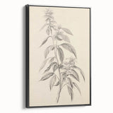 Vintage Botanical Art Prints – Antique Flowering Plant Illustration