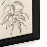 Vintage Botanical Art Prints – Antique Flowering Plant Illustration