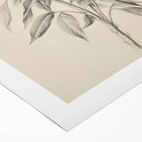 Vintage Botanical Art Prints – Antique Flowering Plant Illustration