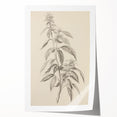 Vintage Botanical Art Prints – Antique Flowering Plant Illustration