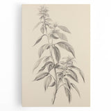 Vintage Botanical Art Prints – Antique Flowering Plant Illustration