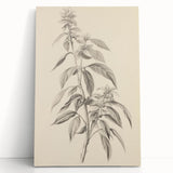 Vintage Botanical Art Prints – Antique Flowering Plant Illustration