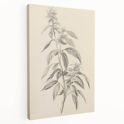 Vintage Botanical Art Prints – Antique Flowering Plant Illustration