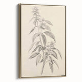 Vintage Botanical Art Prints – Antique Flowering Plant Illustration