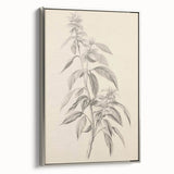 Vintage Botanical Art Prints – Antique Flowering Plant Illustration