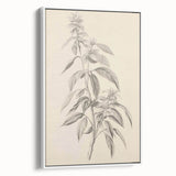 Vintage Botanical Art Prints – Antique Flowering Plant Illustration