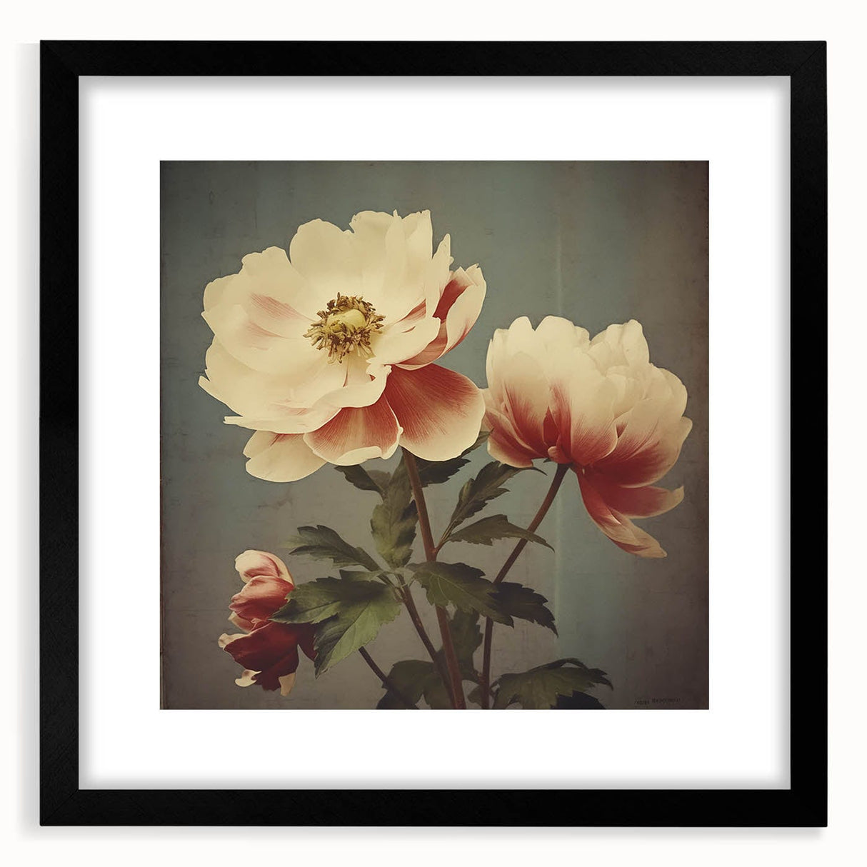 Vintage Botanical Art Prints – Peony Floral Illustration with Pastel Tones