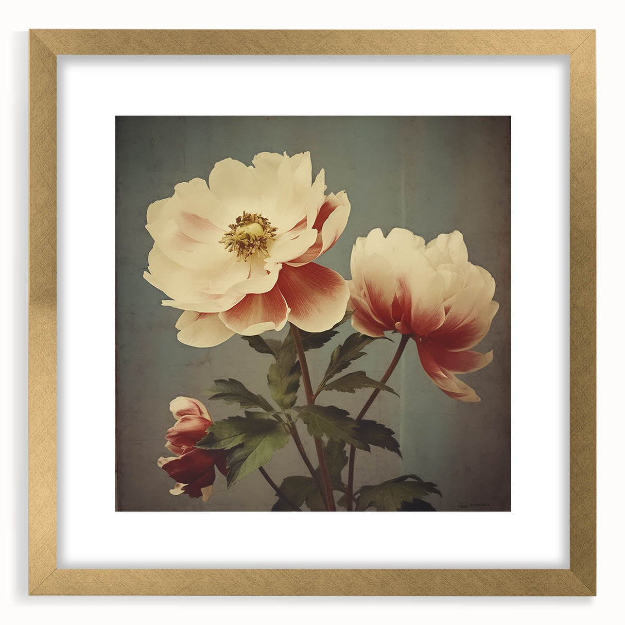 Vintage Botanical Art Prints – Peony Floral Illustration with Pastel Tones