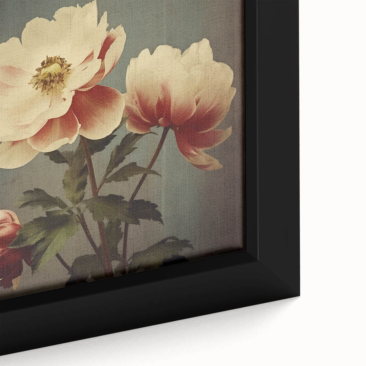 Vintage Botanical Art Prints – Peony Floral Illustration with Pastel Tones
