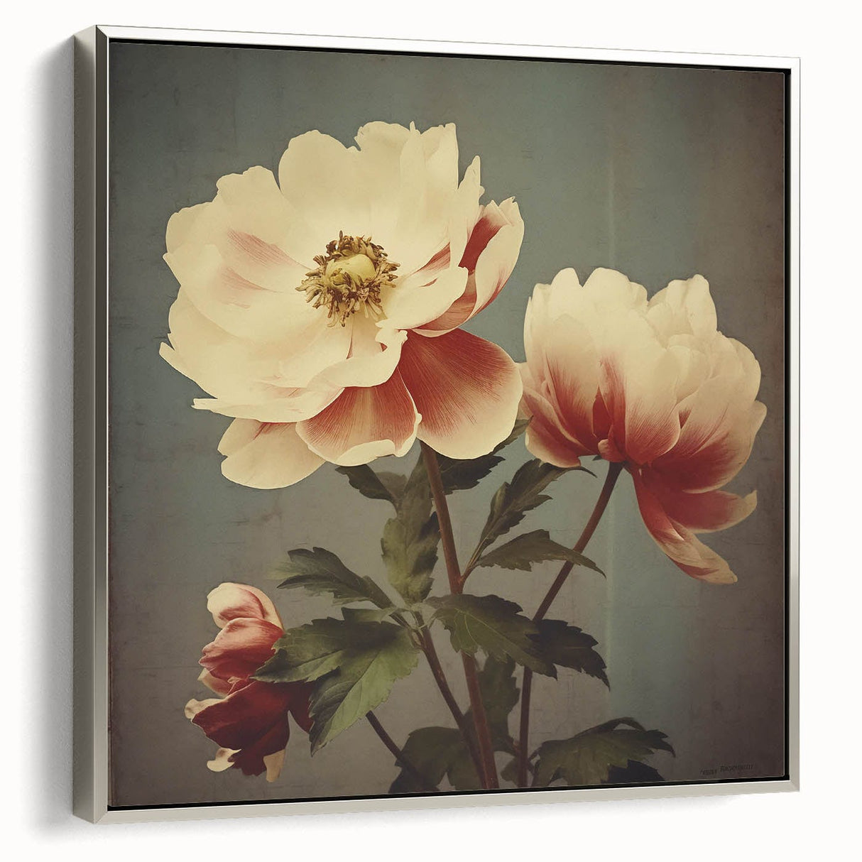 Vintage Botanical Art Prints – Peony Floral Illustration with Pastel Tones
