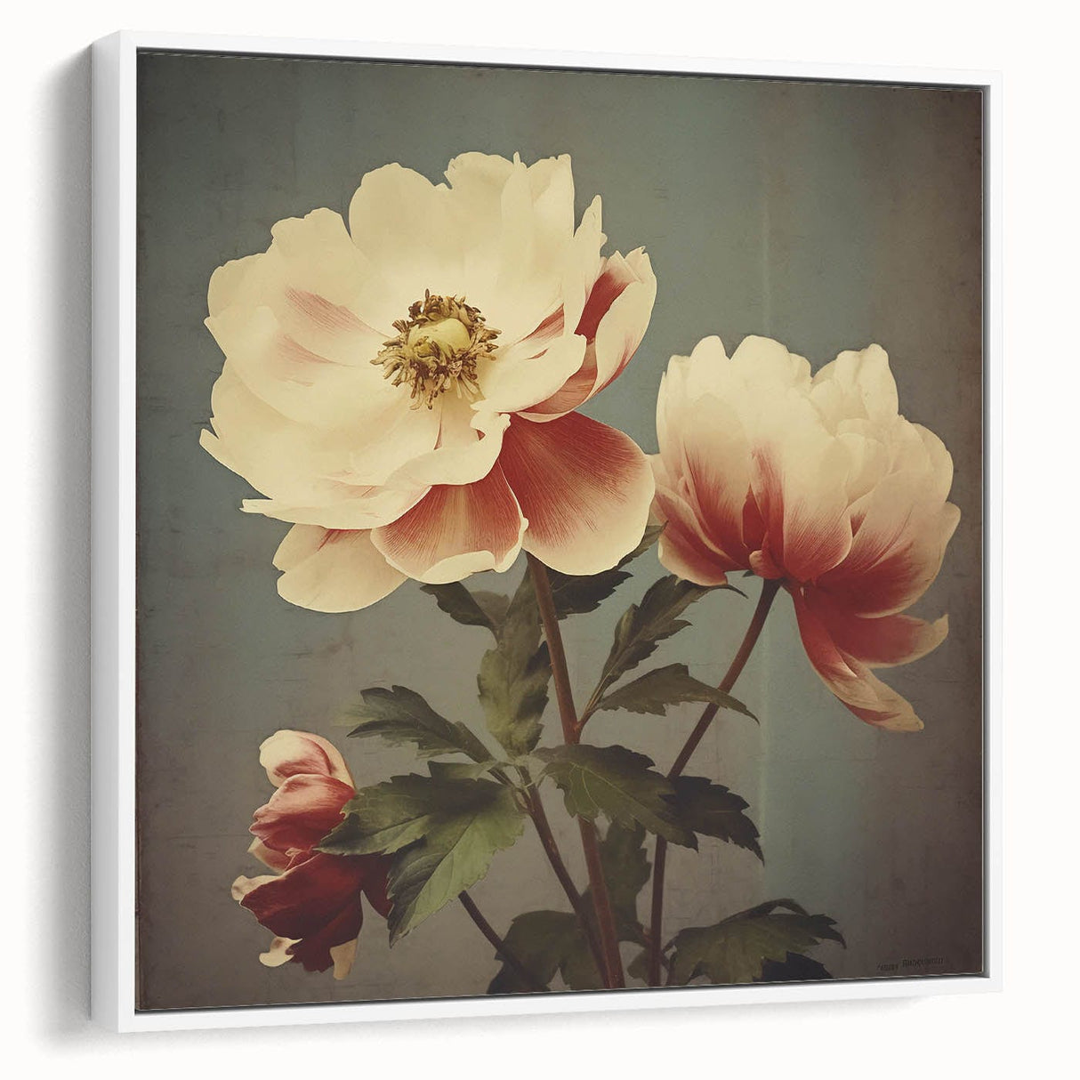 Vintage Botanical Art Prints – Peony Floral Illustration with Pastel Tones
