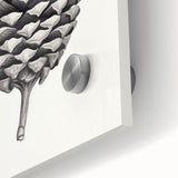 Vintage Botanical Art Prints – Black and White Pinecone Illustration