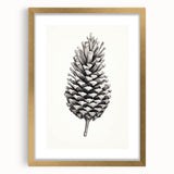 Vintage Botanical Art Prints – Black and White Pinecone Illustration