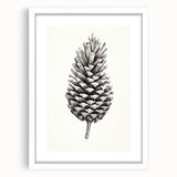 Vintage Botanical Art Prints – Black and White Pinecone Illustration