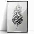 Vintage Botanical Art Prints – Black and White Pinecone Illustration
