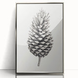 Vintage Botanical Art Prints – Black and White Pinecone Illustration