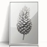Vintage Botanical Art Prints – Black and White Pinecone Illustration