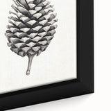 Vintage Botanical Art Prints – Black and White Pinecone Illustration