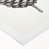 Vintage Botanical Art Prints – Black and White Pinecone Illustration