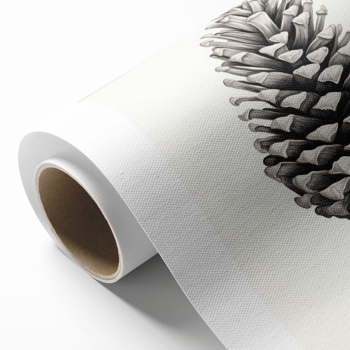 Vintage Botanical Art Prints – Black and White Pinecone Illustration