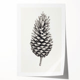 Vintage Botanical Art Prints – Black and White Pinecone Illustration