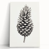 Vintage Botanical Art Prints – Black and White Pinecone Illustration