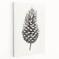 Vintage Botanical Art Prints – Black and White Pinecone Illustration