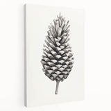 Vintage Botanical Art Prints – Black and White Pinecone Illustration