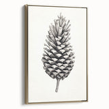 Vintage Botanical Art Prints – Black and White Pinecone Illustration
